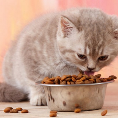 สูตรอาหารตามช่วงอายุ (Nutrition)